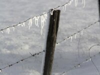 Sneeuwwandeling Tielt Poelberg 090