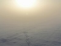 Sneeuwwandeling Tielt Poelberg 098