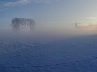 Sneeuwwandeling Tielt Poelberg 102
