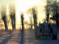 Sneeuwwandeling Tielt Poelberg 128