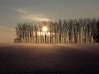 Sneeuwwandeling Tielt Poelberg 135