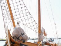 IMG 1186