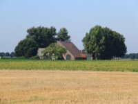 Zeelandrit dag 2 017