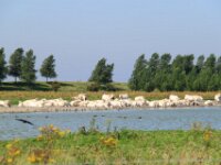 Zeelandrit dag 2 024