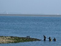 Zeelandrit dag 2 080