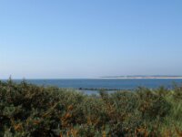 Zeelandrit dag 2 090