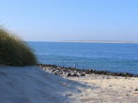 Zeelandrit dag 2 101
