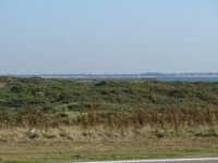 Zeelandrit dag 2 110