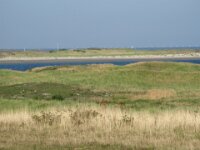 Zeelandrit dag 2 112