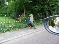 Dag 3 Rit deel 2 094