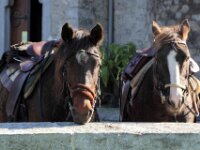 Celles St. Hubert 136