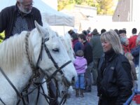 Celles St. Hubert 79