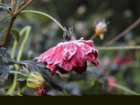 Chateau de Vignee - Herfst 047