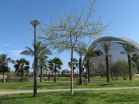 Valencia per fiets - Ciudad de las Artes y Ciencias 009