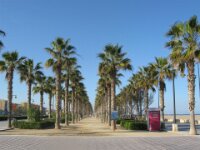 Valencia per fiets - Ciudad de las Artes y Ciencias 063