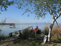 La Albufera & El Palmar 006