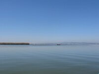 La Albufera & El Palmar 008