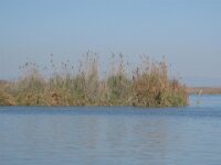 La Albufera & El Palmar 012