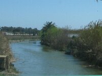 La Albufera & El Palmar 032