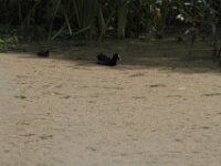 IMG 7053