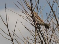 IMG 7143