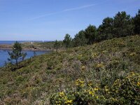 Galicia 2 208