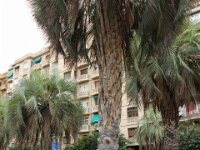 Zaragoza 1051a