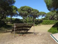 053 Donana