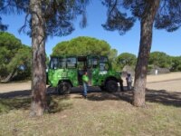 068 Donana