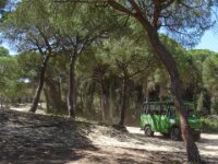 092 Donana