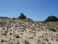 118 Donana