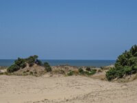 120 Donana