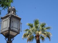 039 Dag 7 Jerez