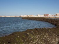 320 Dag 7 Jerez